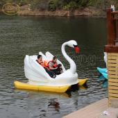 2013 Meizhou Carnival Activities